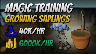 Growing Saplings 40K EXP  6000K GPHr [upl. by Pitarys]