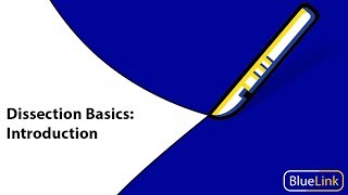 Dissection Basics  Introduction [upl. by Edals]