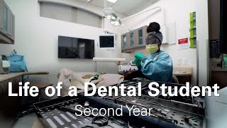 Life of a Second Year Dental Student  Claudie [upl. by Giaimo875]