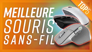 Les 5 Meilleures SOURIS SANS FIL [upl. by Yssirc]