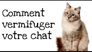 Comment vermifuger votre chat [upl. by Maynord]