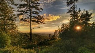 Michaux ATV trails amp sights in Michaux State Forest of Pennsylvania [upl. by Ellirehs]