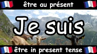 French Conjugation Song  Être  Celtic Music [upl. by Vivle]