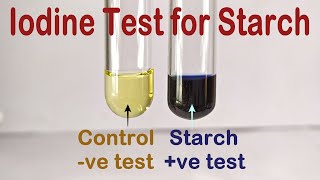 Iodine Test For Starch Practical Experiment [upl. by Graeme]