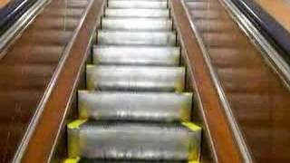 Department Store Escalators [upl. by Suoicerp]