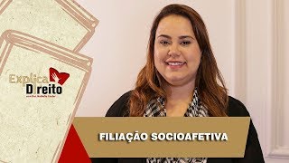 Explica Direito Filiação Socioafetiva  2019 [upl. by Allevon862]