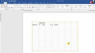 Excel werkblad gebruiken in Word [upl. by Hadria872]