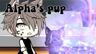 Alphas pup Full EpisodeGacha Life  Read desc [upl. by Vadim739]