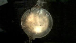 Underwater Explosions at 120000fps  The Slow Mo Guys [upl. by Analahs]