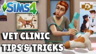 8 Vet Clinic Tips And Tricks For Success  The Sims 4 Cats amp Dogs Guide [upl. by Soule]