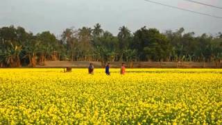 The National Anthem  Jatiyo Sangeet of Bangladesh quotAmar Sonar Bangla quot [upl. by Leira]