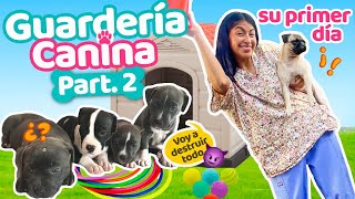 🚸 PRIMER DÍA EN LA GUARDERÍA 🌳 🧸 🐕🐕‍🦺 ¡TODOS LOS PERRITOS A CLASES y CUIDADOS⛑  Conny Merlin [upl. by Jeane]