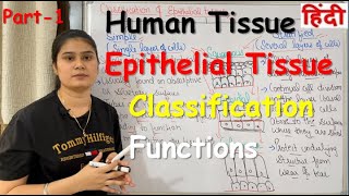 Tissue in Hindi  Epithelial Tissue  Functions  Classification  Part1 [upl. by Emilee]