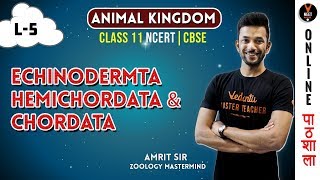 Echinodermata Hemichordata and Chordata  Animal Kingdom CBSE Class 11 Biology Chapter 4NEET 2020 [upl. by Haras]