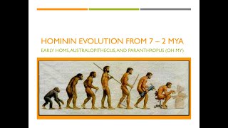 Hominin Evolution Part 1 The First 5 Million Years [upl. by Teece776]