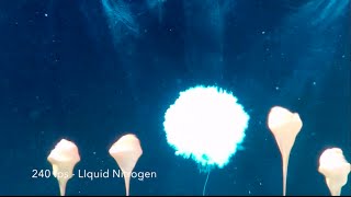 Underwater Explosions  Slow Motion Dry Ice Bomb [upl. by Ysied]