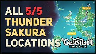 All 5 Thunder Sakura Locations Genshin Impact Sakura Arborism [upl. by Allimaj]