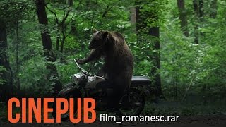 URSUL  Film Romanesc comedie  CINEPUB [upl. by Namron]