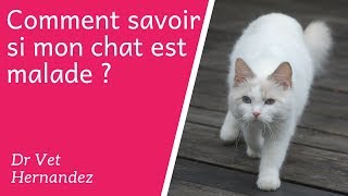 Comment savoir si mon chat est malade [upl. by Dunning]