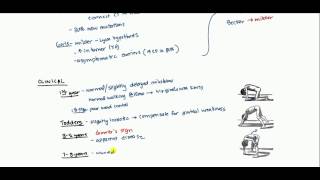 Muscular Dystrophy for USMLE [upl. by Ardnod]