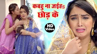 Dimpal Singh  Sweety Singh  देवर करी घात ये राजा  Khesari Lal Yadav  Bhojpuri Song [upl. by Murdoch]