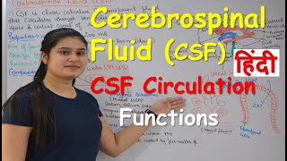 Cerebrospinal fluid in Hindi CSF  Functions  Production  CSF Circulation  Choroid Plexus [upl. by Quinn259]