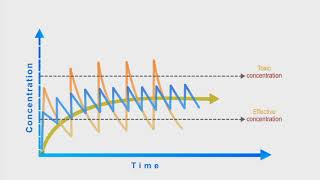 Pharmacokinetics animation Dosing Interval [upl. by Idnas]