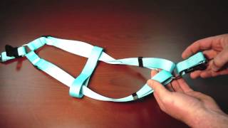 StepinHarness  Twisted Harness Correction [upl. by Davey]