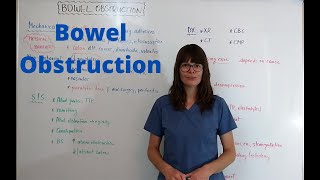 Bowel Obstruction [upl. by Ardehs373]