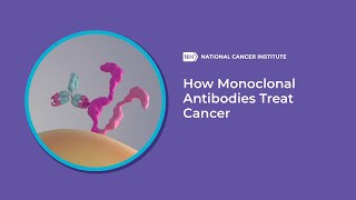 How Monoclonal Antibodies Treat Cancer [upl. by Dorison541]