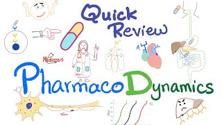 Pharmacodynamics  What the med does to your body  Quick Review  Pharmacology Lectures [upl. by Fania465]