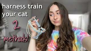 Harness Train Your Cat 2 methods [upl. by Flora977]