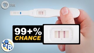 How Do Pregnancy Tests Work [upl. by Cedell]