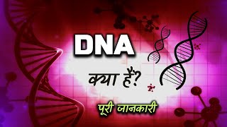 What is DNA With Full Information – Hindi – Quick Support [upl. by Acimahs944]