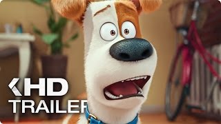 The Secret Life of Pets  Coming Home Scene  Fandango Family [upl. by Cleopatra]