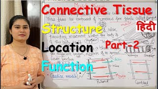 Connective Tissue in Hindi  Part2  Structure  Locations  Types  Functions [upl. by Camellia212]