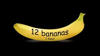 12 bananas theme song  1 hour [upl. by Lleirbag]