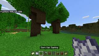 How to Grow Dark Oak Trees [upl. by Carissa]