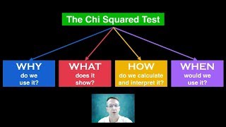 Chi Squared Test [upl. by Glassco]