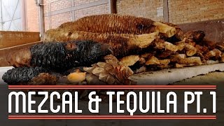 Mezcal and Tequila 13  How to Brew Everything [upl. by Ecirtra]