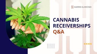 Cannabis Receiverships QampA  Harris Sliwoski [upl. by Kisor]