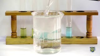 Food Tests  Iodine Biuret Benedicts Ethanol DCPIP [upl. by Airam]