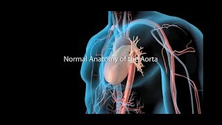 Neck DissectionTypes and Classification [upl. by Nnyl]