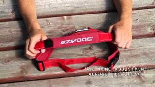 EzyDog QuickFit Dog Harness  Simple Support [upl. by Ally723]