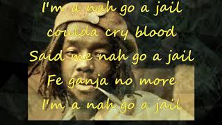 Peter Tosh  Nah Go A Jail lyrics [upl. by Kitrak289]