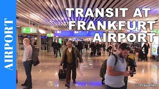 TRANSIT WALK AT FRANKFURT Airport FRA Terminal 1  Connection Flight Transfer Arriving amp Departing [upl. by Lenuahs]