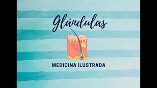 Dermatología   Glándulas [upl. by Aredna]