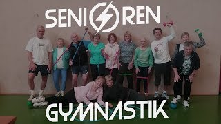 Seniorengruppenspiele mit Overball [upl. by Strong242]